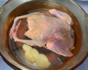 食补养生滋补山药鸽子汤的做法