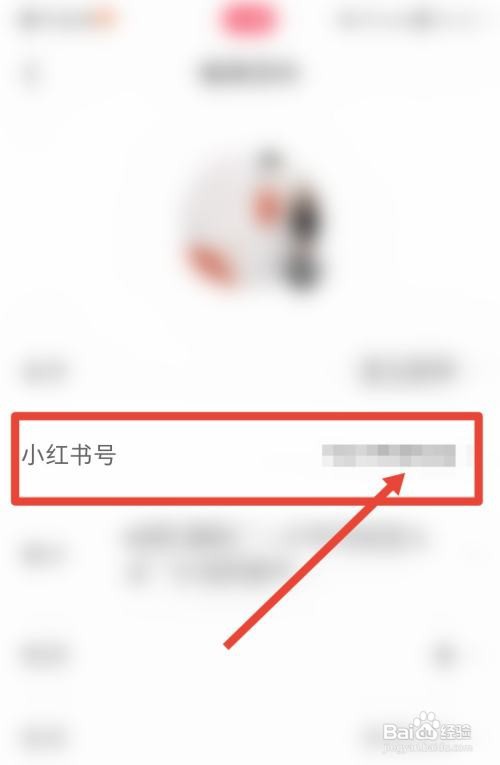 小红书怎么更改小红书号