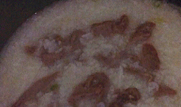 枸杞菠菜猪肝粥