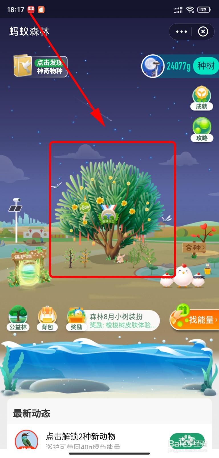 怎么获得蚂蚁森林梭梭树皮肤体验装