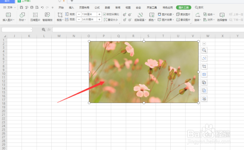 WPS表格给图片添加透视阴影方法