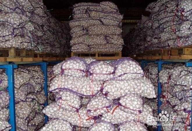 囤大蒜怎么囤