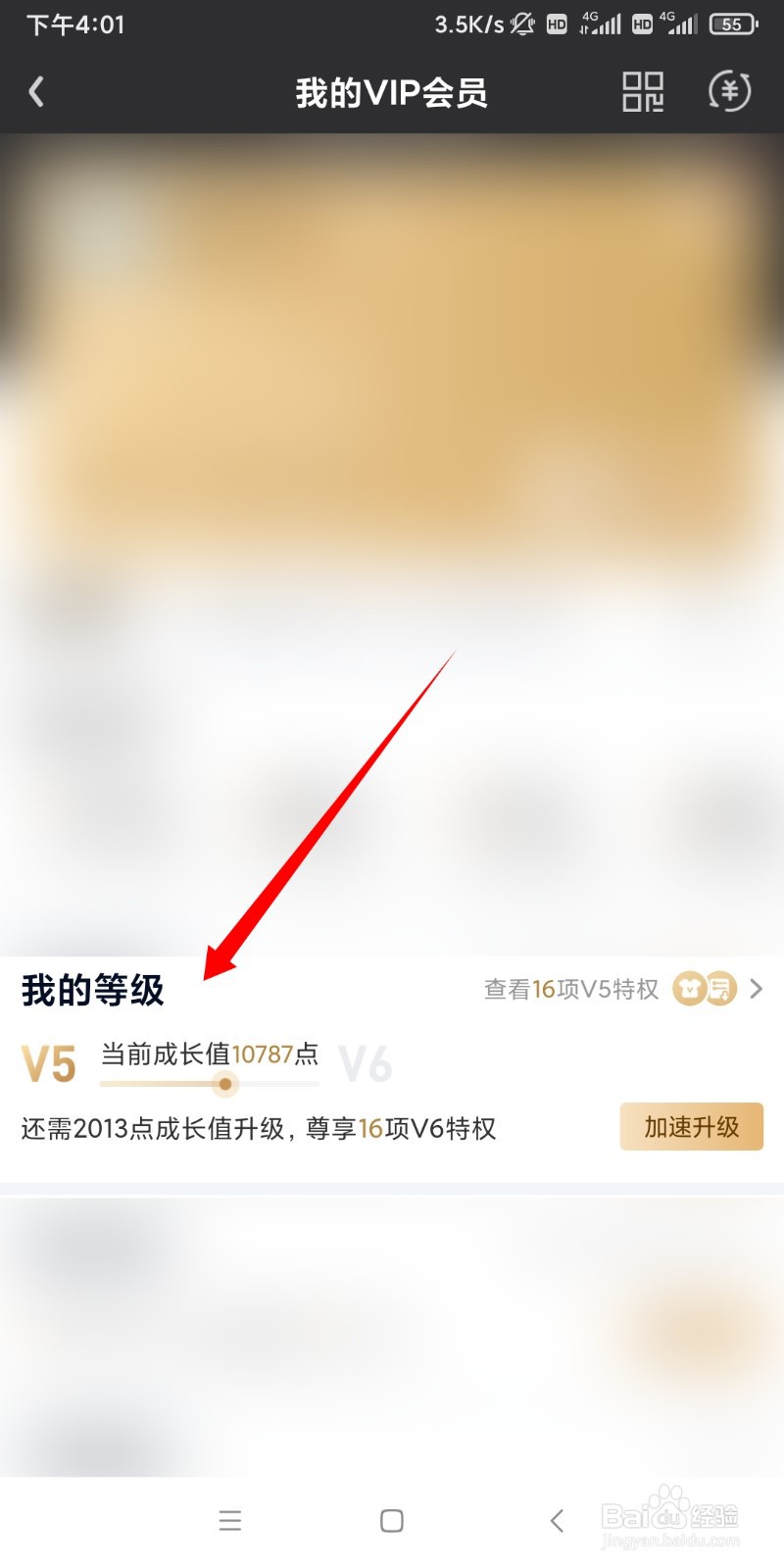 爱奇艺会员等级怎么看