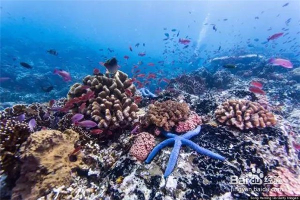 9大东南亚高性价比仙境旅游攻略-免签落地签