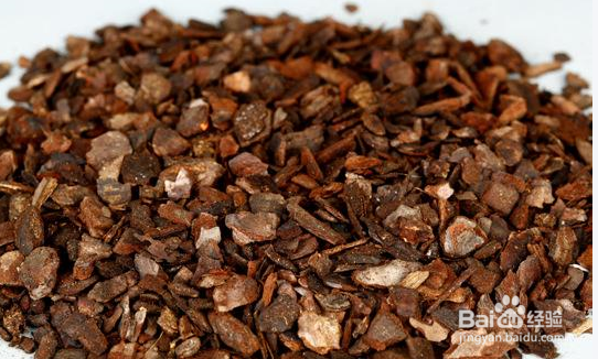 如何在家庭种植霍山石斛？