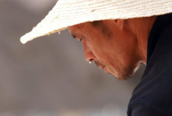 由“头涔涔