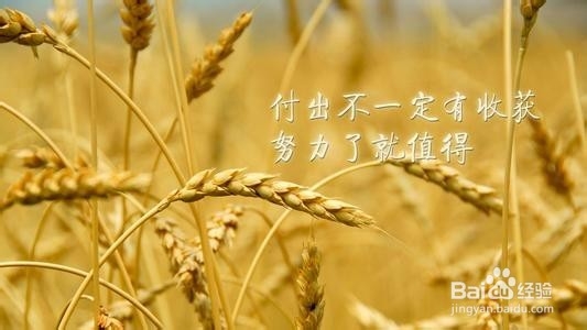 经常外出要学会带行李