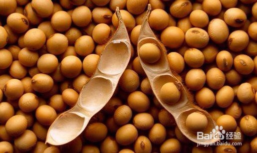 如何鉴别转基因食物