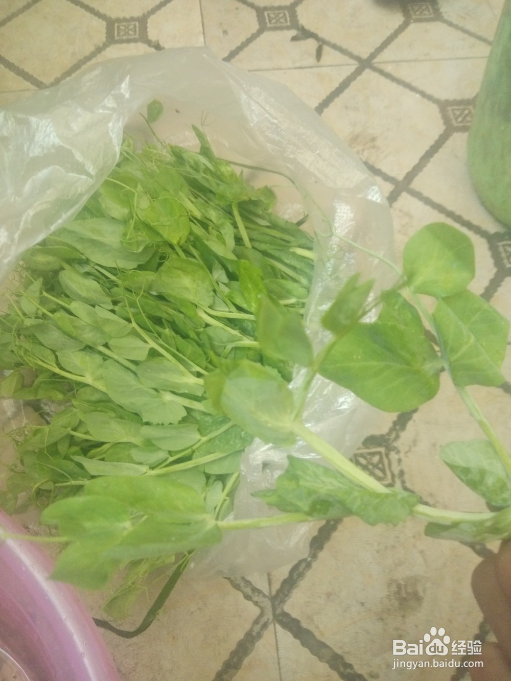 豌豆菜的做法