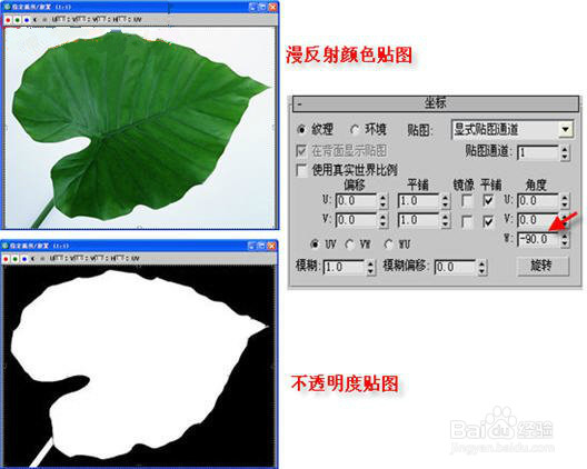 3ds Max教程:庭院中美丽清新紫色牵牛花