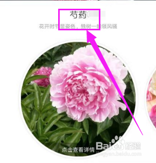 形色app如何上传图片识别