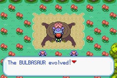 口袋妖怪圣灰攻略图片5