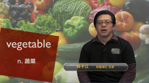 vegetable是什么意思