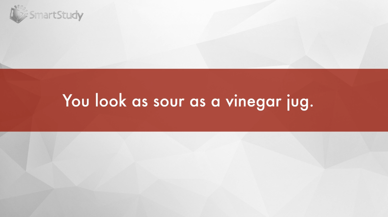 vinegar是什么意思