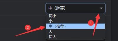 Google浏览器如何设置页面显示字号类型