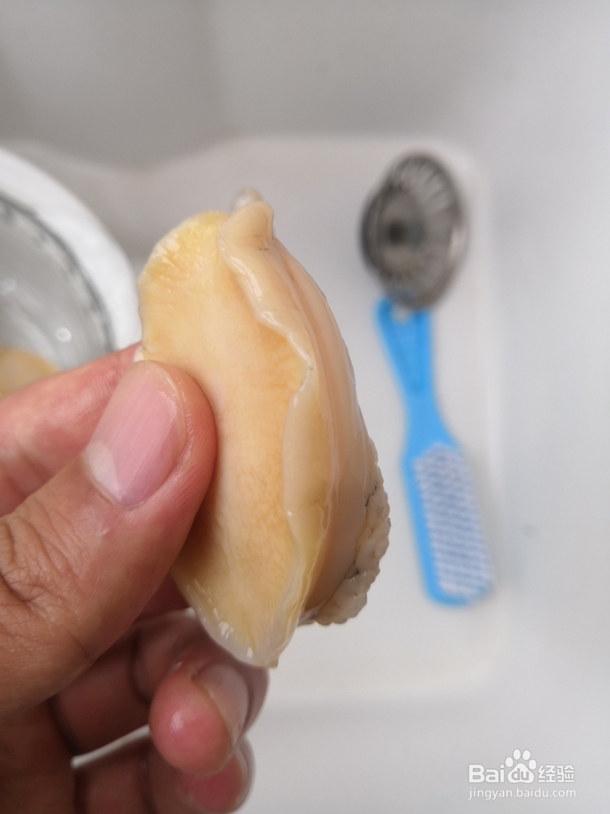 蒜蓉粉丝清蒸鲍鱼