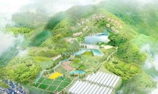 玉米地如何结合养殖