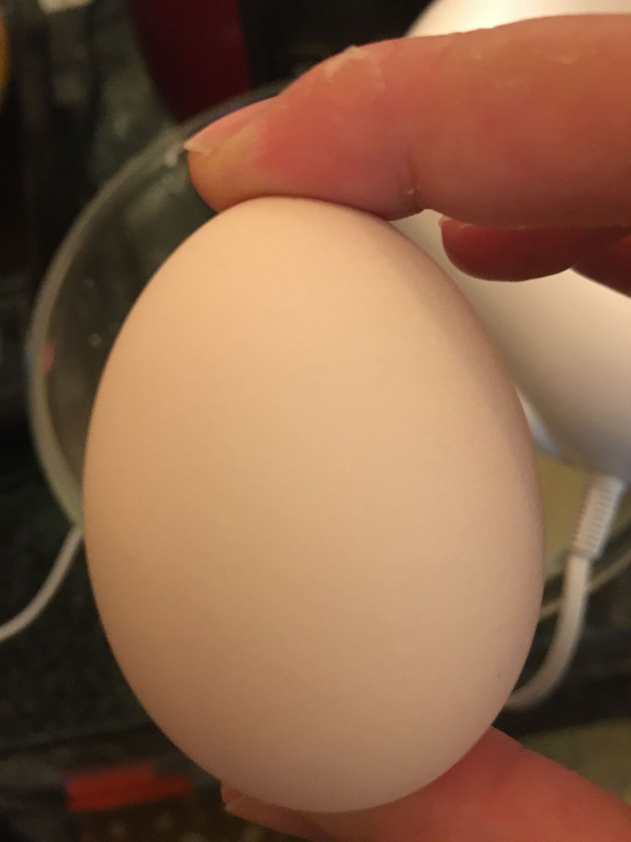 美味至极的乳酪酸奶糕!