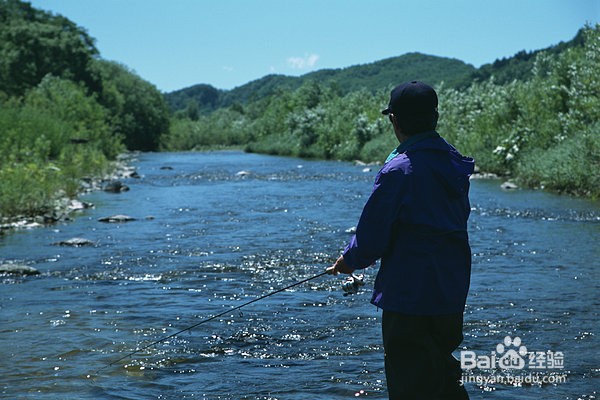 夏季如何钓草鱼的小技巧介绍