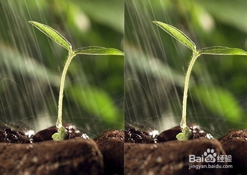 XY苹果助手：最强照片无损压缩功能评测