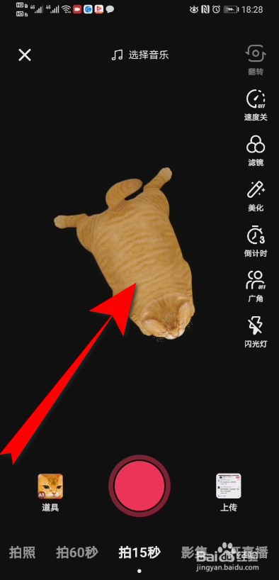 抖音AR猫特效在哪里 抖音AR猫特效怎么拍