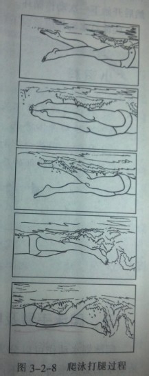 快速掌握游泳技巧：[2]学自由泳的诀窍