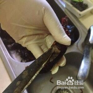 如何清洗小龙虾