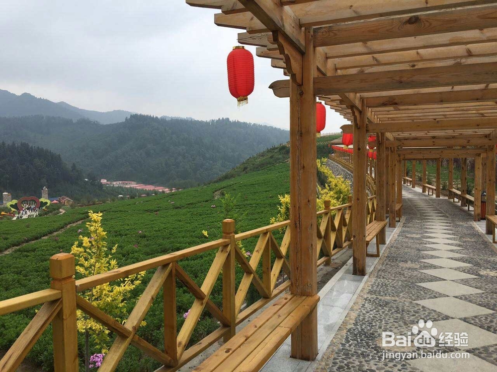 青海大通县边麻沟花海