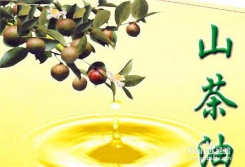 山茶油有什么作用和功效