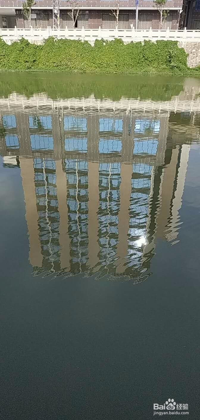 如何拍出好的相片？