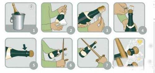 生活/家居 > 生活常识  步骤/方法 1 首先你需要  一瓶冰镇香槟