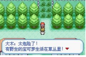 口袋妖怪叶绿一周目攻略