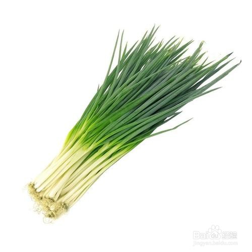 葱是怎么种出来的？