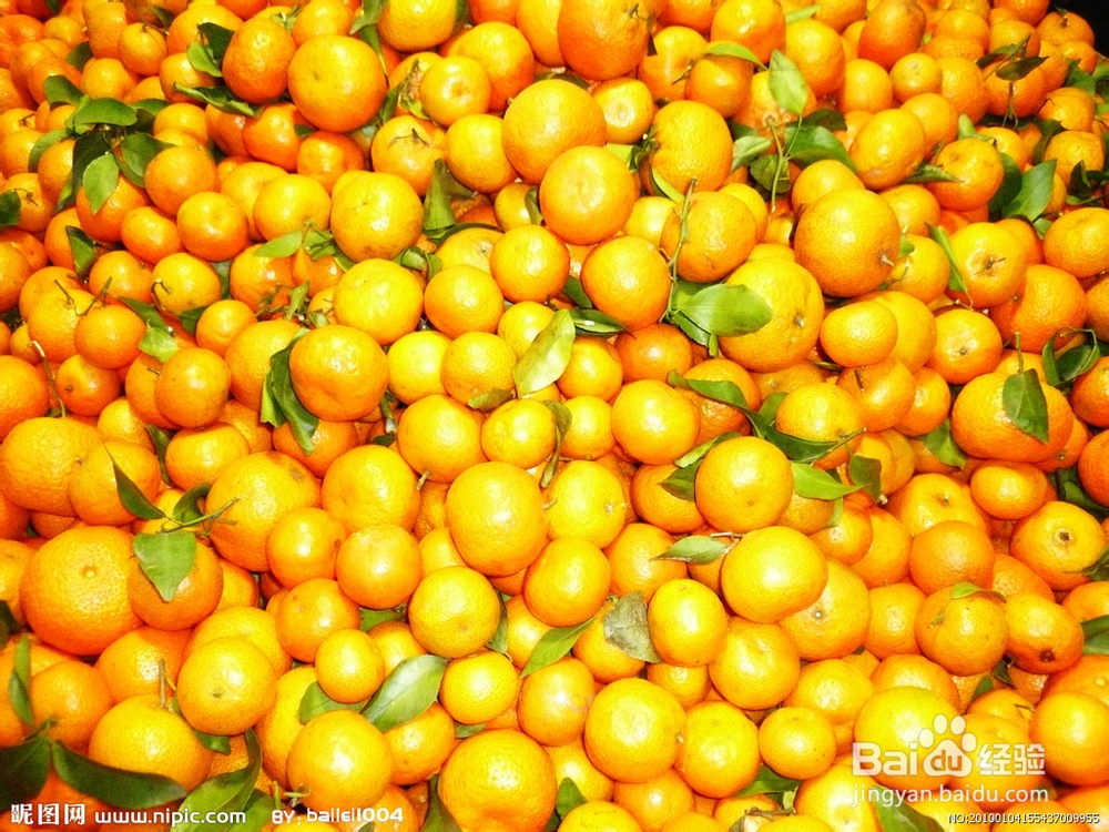 #水果#如何挑选砂糖橘