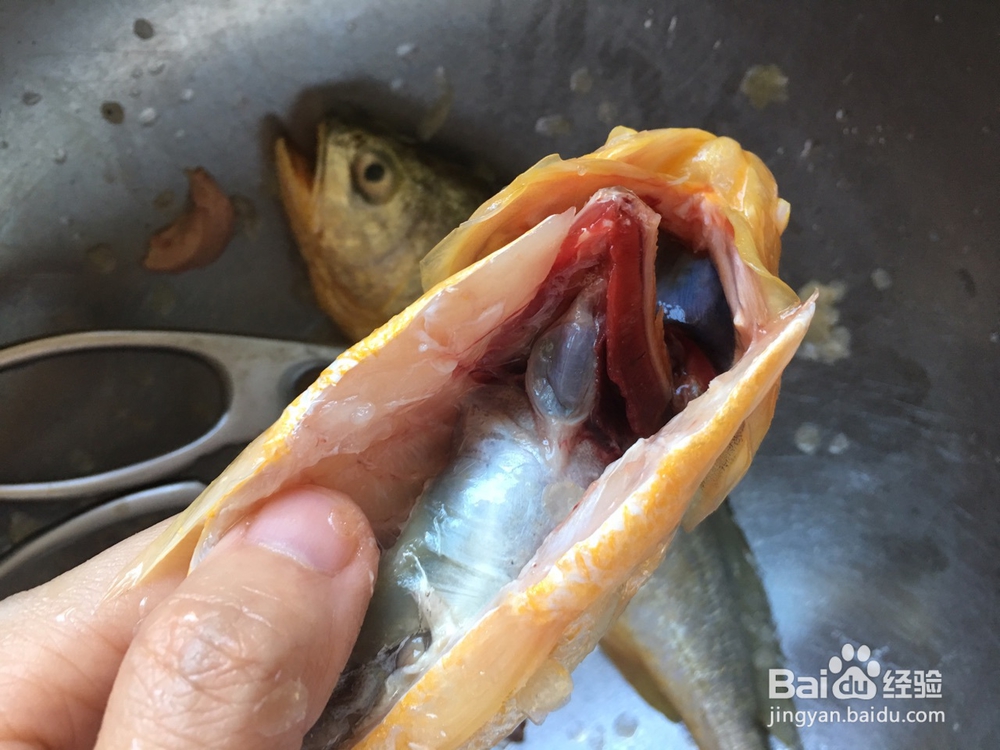 怎么做家常红烧黄花鱼 | 配方和做法?