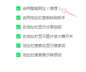 360浏览器怎么启用智能网址