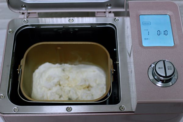 洋葱猪肉香菜发面馅饼