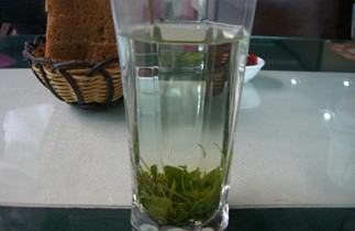 选购玉山高山茶有诀窍