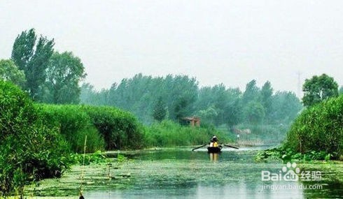 保定旅游景点攻略