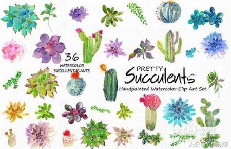 化妆品成份这么多,护肤小盲怎么破?