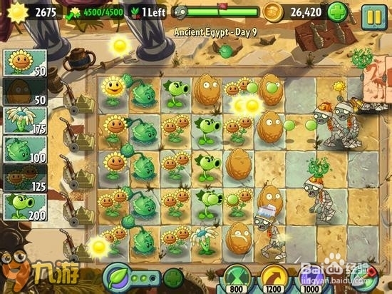 【图解】手机版《植物大战僵尸2》埃及第九关