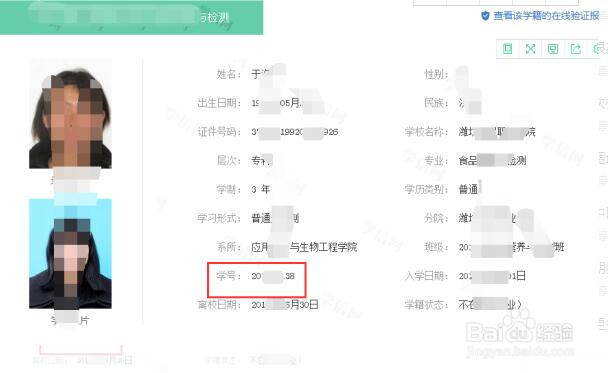 查询学生代码怎么查？