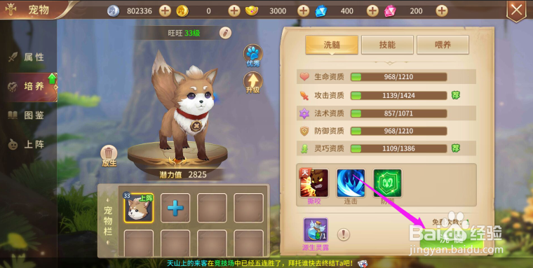 风色世界如何给宠物洗髓