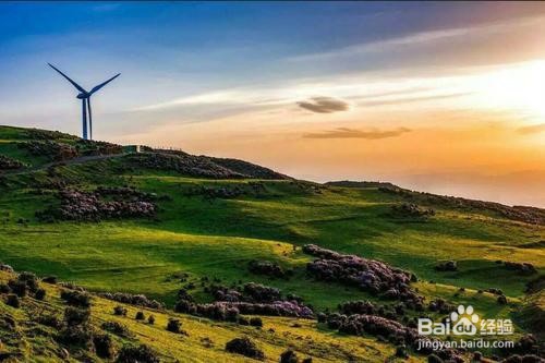 贵州乌蒙大草原旅游攻略