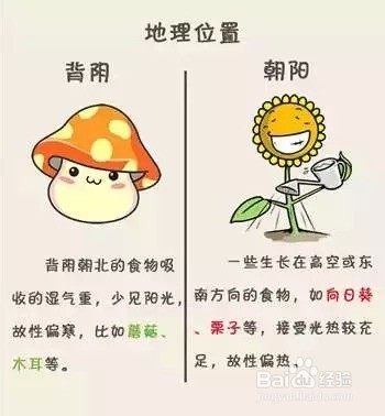 教你快速辨别食物是寒性还是热性？