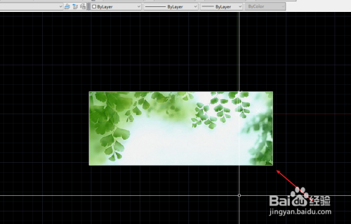 cad怎么导入图片进去