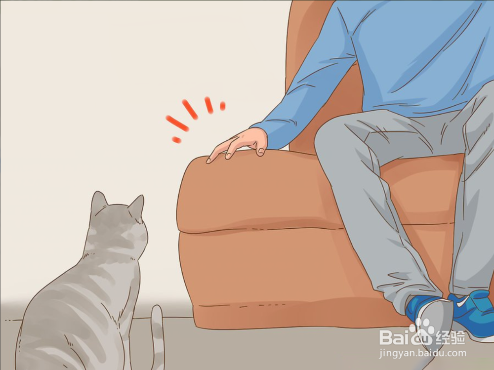 3个步骤教您如何快速与您的猫沟通（图文）