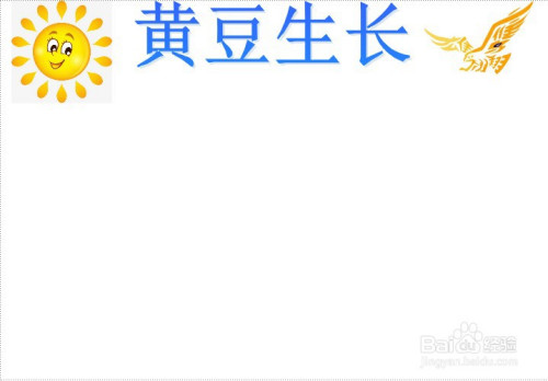 黄豆生长手抄报