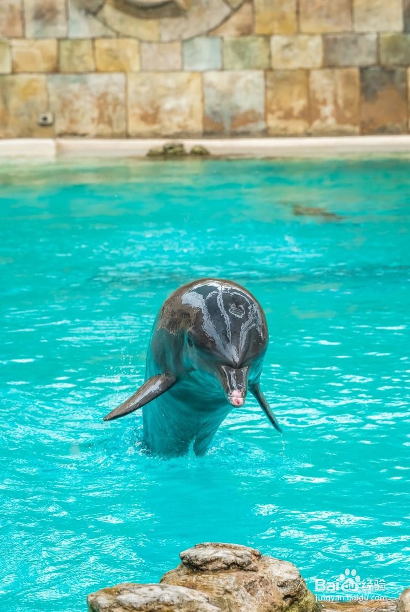 新加坡旅游简记20