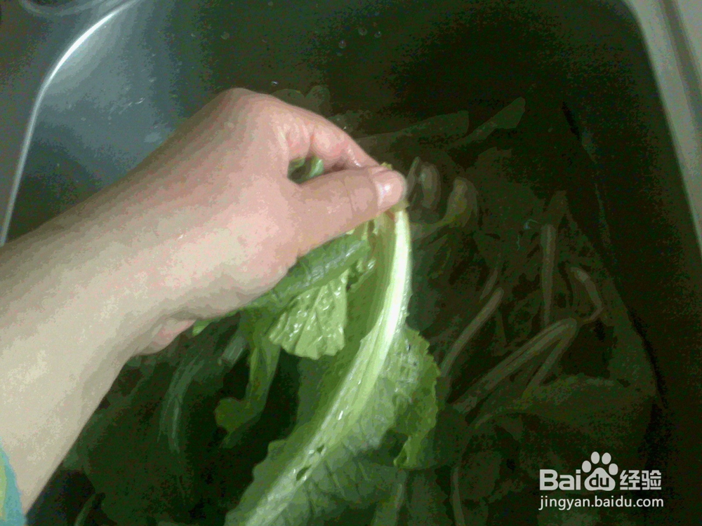 #美食#老年人怎样用淘米水泡洗小萝卜菜